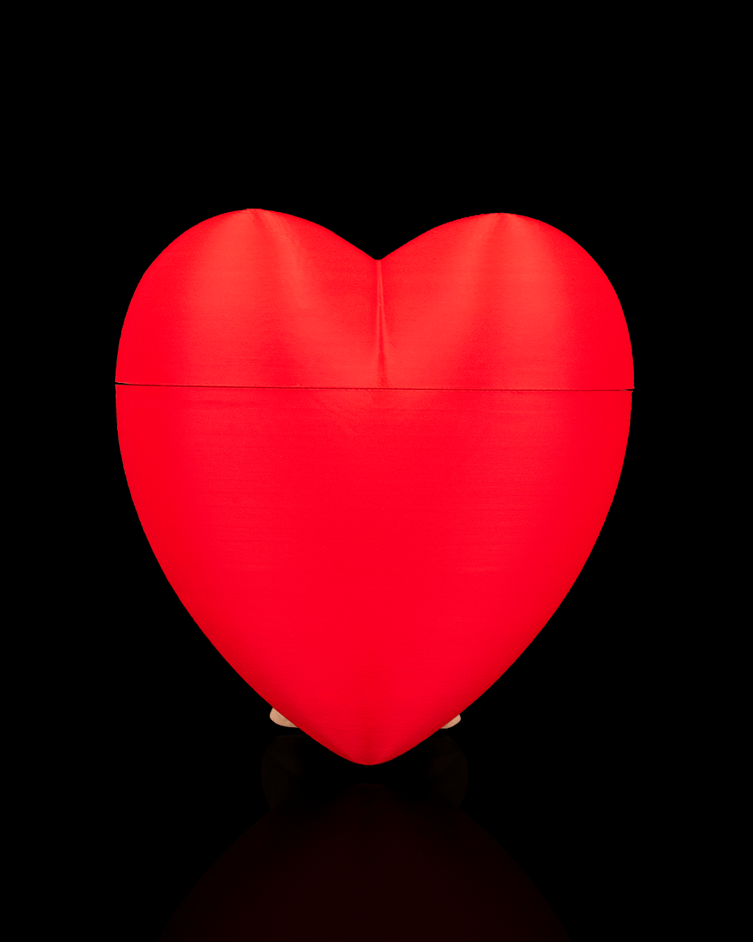 Heart Carrier Container
